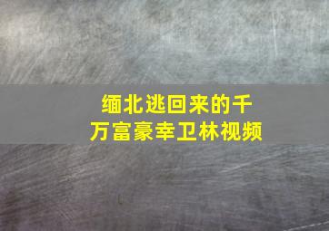 缅北逃回来的千万富豪幸卫林视频