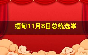 缅甸11月8日总统选举