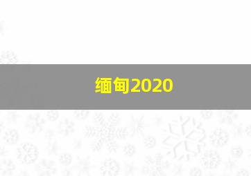 缅甸2020