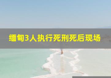 缅甸3人执行死刑死后现场