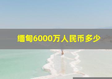 缅甸6000万人民币多少