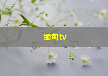 缅甸tv