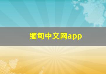 缅甸中文网app