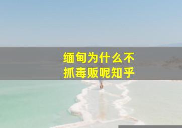 缅甸为什么不抓毒贩呢知乎