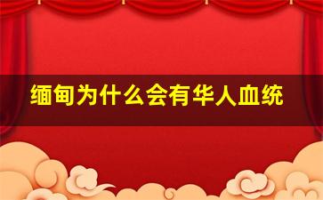 缅甸为什么会有华人血统