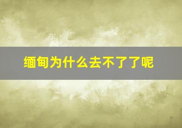 缅甸为什么去不了了呢