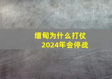 缅甸为什么打仗2024年会停战