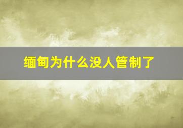 缅甸为什么没人管制了