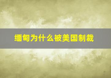 缅甸为什么被美国制裁