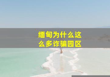 缅甸为什么这么多诈骗园区