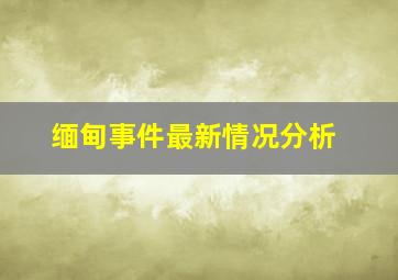 缅甸事件最新情况分析