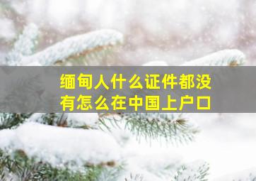 缅甸人什么证件都没有怎么在中国上户口