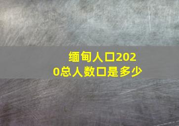 缅甸人口2020总人数口是多少