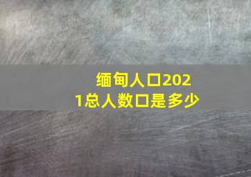 缅甸人口2021总人数口是多少