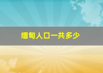 缅甸人口一共多少