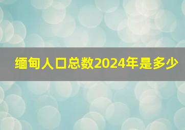 缅甸人口总数2024年是多少