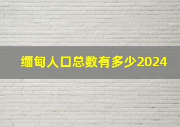 缅甸人口总数有多少2024