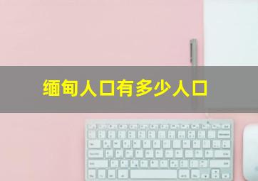 缅甸人口有多少人口