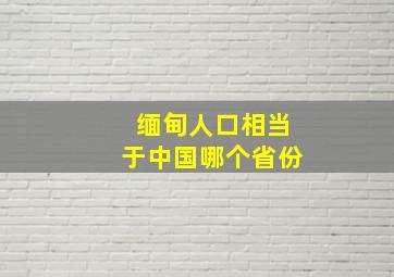 缅甸人口相当于中国哪个省份