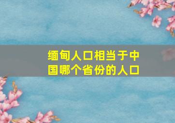 缅甸人口相当于中国哪个省份的人口