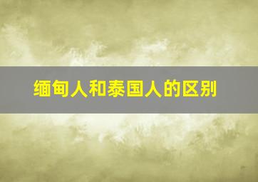 缅甸人和泰国人的区别