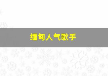 缅甸人气歌手