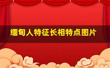 缅甸人特征长相特点图片