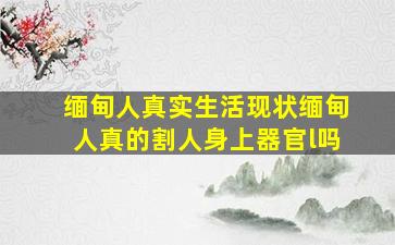 缅甸人真实生活现状缅甸人真的割人身上器官l吗