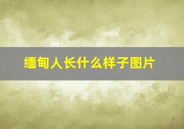 缅甸人长什么样子图片