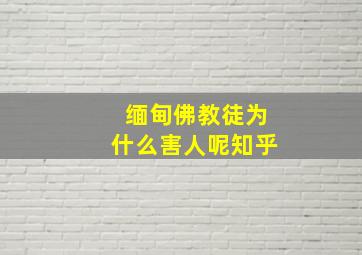 缅甸佛教徒为什么害人呢知乎