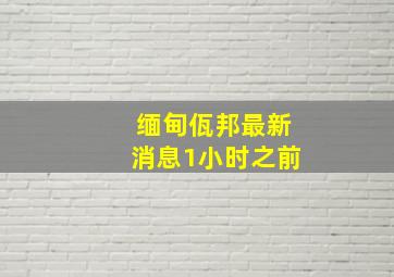 缅甸佤邦最新消息1小时之前