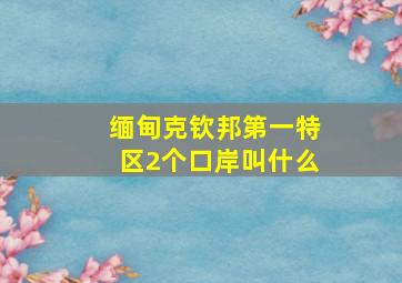 缅甸克钦邦第一特区2个口岸叫什么