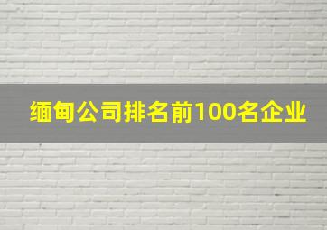 缅甸公司排名前100名企业