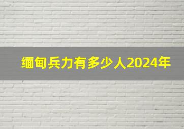 缅甸兵力有多少人2024年