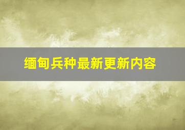 缅甸兵种最新更新内容