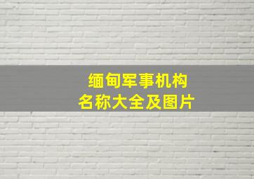 缅甸军事机构名称大全及图片