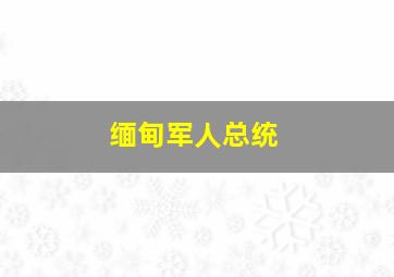 缅甸军人总统