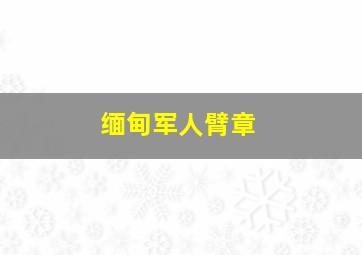 缅甸军人臂章