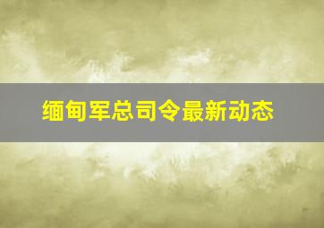 缅甸军总司令最新动态