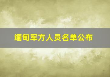 缅甸军方人员名单公布