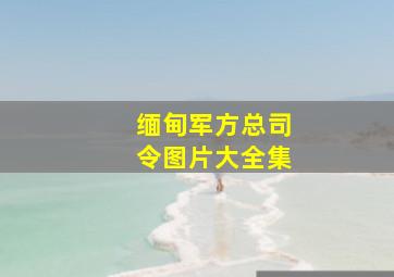 缅甸军方总司令图片大全集