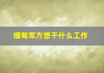 缅甸军方想干什么工作