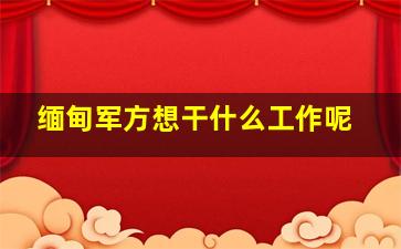 缅甸军方想干什么工作呢