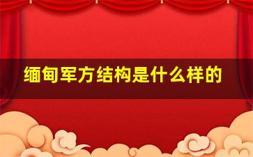 缅甸军方结构是什么样的