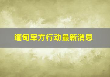 缅甸军方行动最新消息