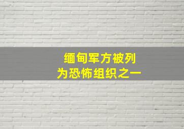 缅甸军方被列为恐怖组织之一