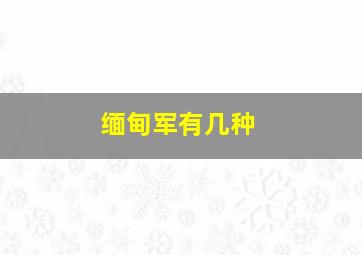 缅甸军有几种