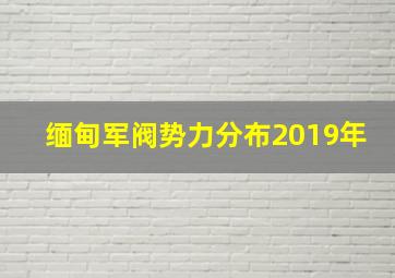 缅甸军阀势力分布2019年