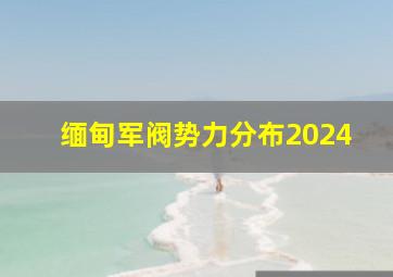 缅甸军阀势力分布2024