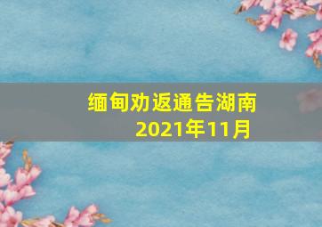 缅甸劝返通告湖南2021年11月